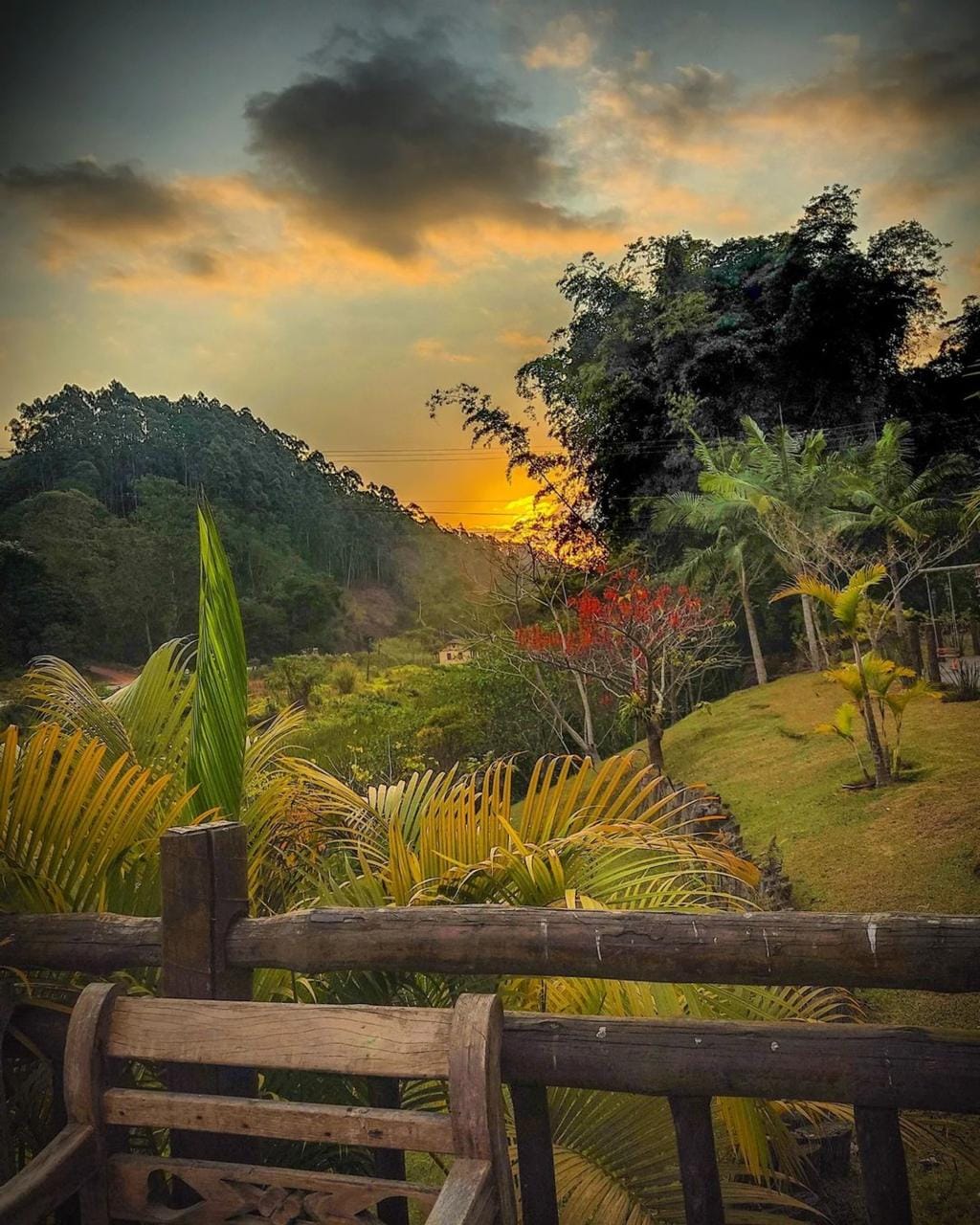 Jardim externo do restaurante travoletta